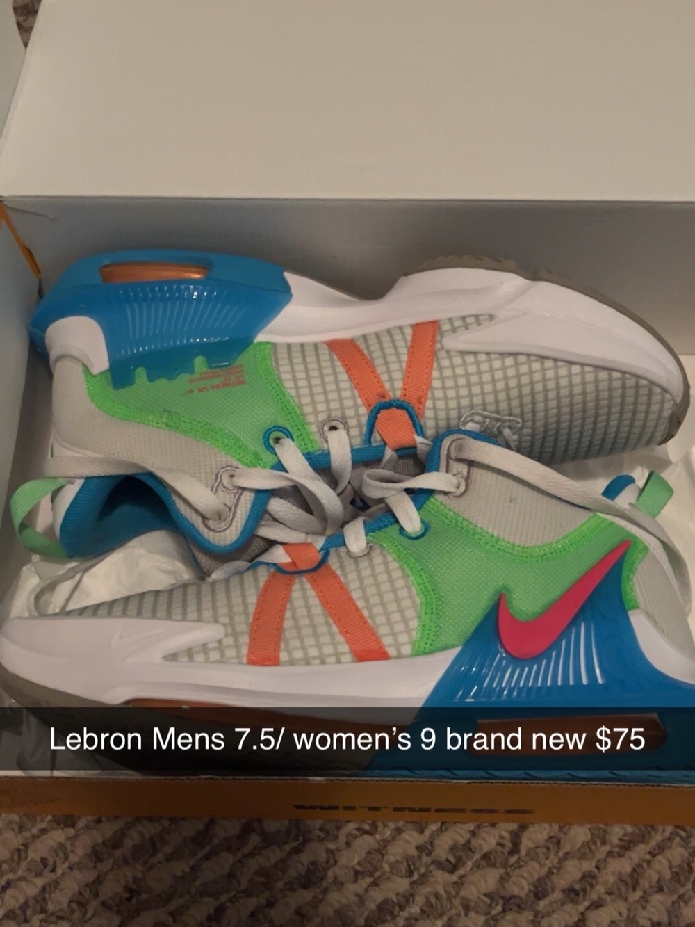 Nike LeBron Low-Top Sneakers - Green/Blue/Orange/Pink